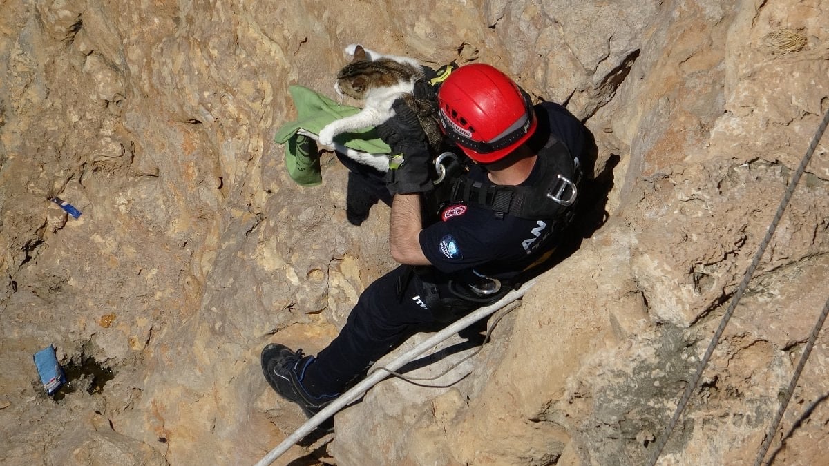 Antalya’da falezlerde mahsur kalan kedi, itfaiyenin bir saatlik çalışmasıyla kurtarıldı