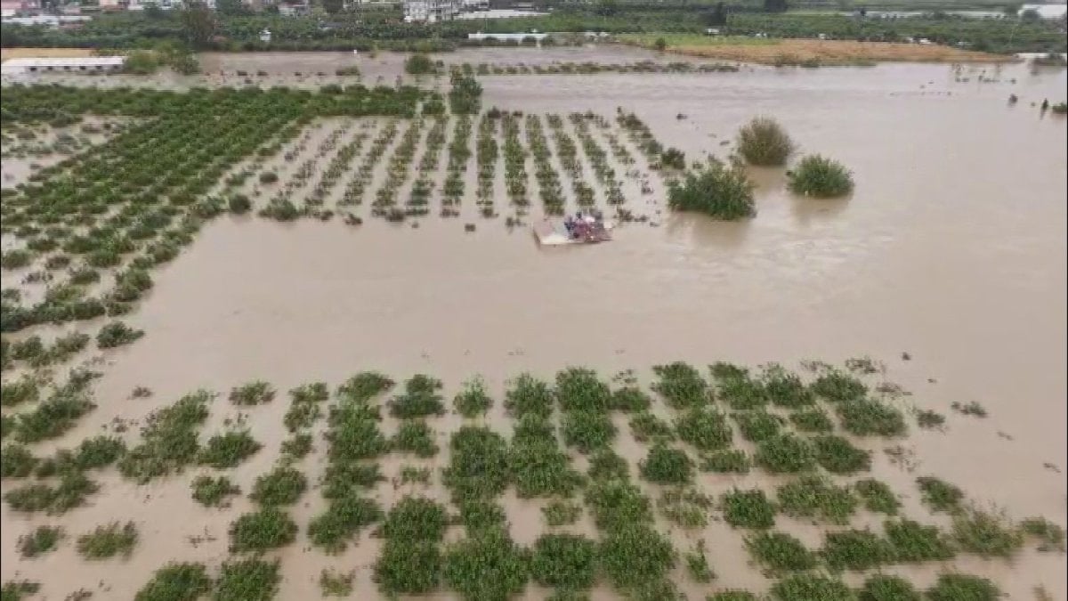Hatay'da tarım yerlerindeki hasar sular çekilince ortaya çıktı
