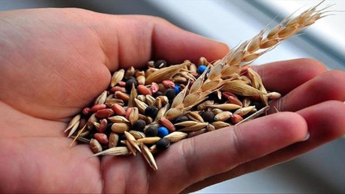 Yerli tohumda yeni periyot: 17 çeşitte 39 yeni çeşit tescil edildi
