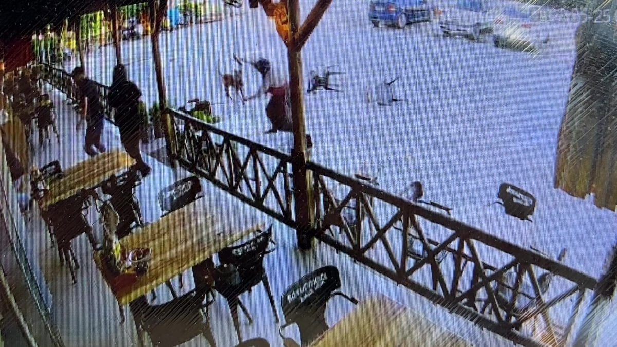 Afyonkarahisar'da başıboş köpek bayanın kolunu kopardı