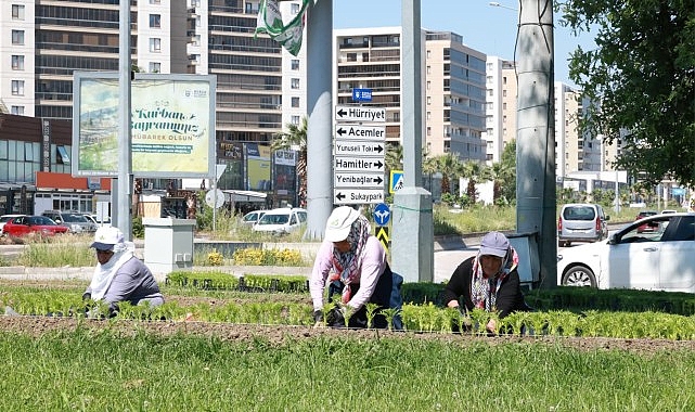 Bu Yaz Osmangazi'de Çiçek Kokuları Eksik Olmayacak