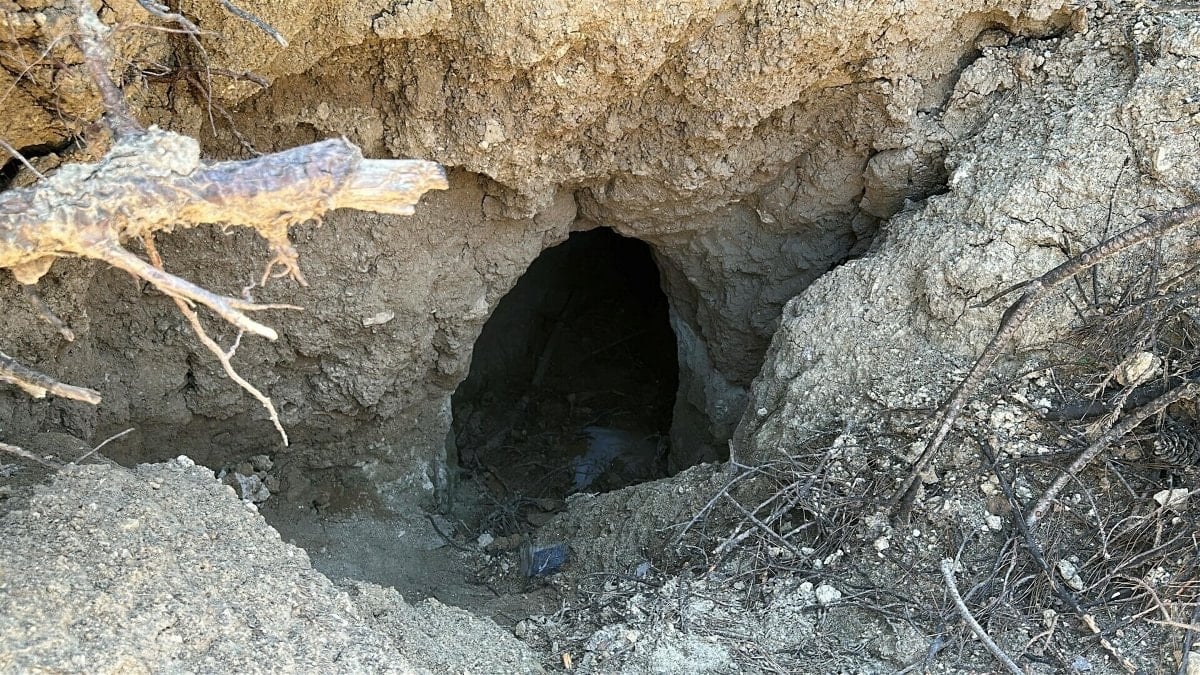 Çanakkale'de yangın sonrası ortaya çıkan tümülüs, definecilerin gayesi oldu