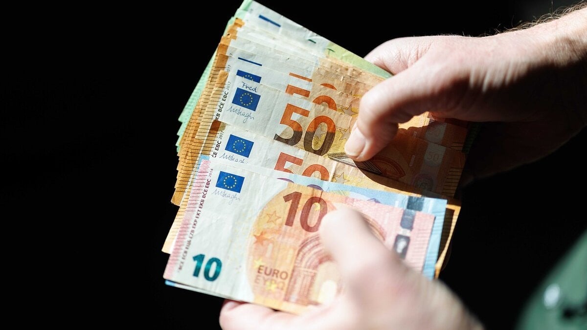 Euronun geçen yıl global rolü yüzde 20 oldu