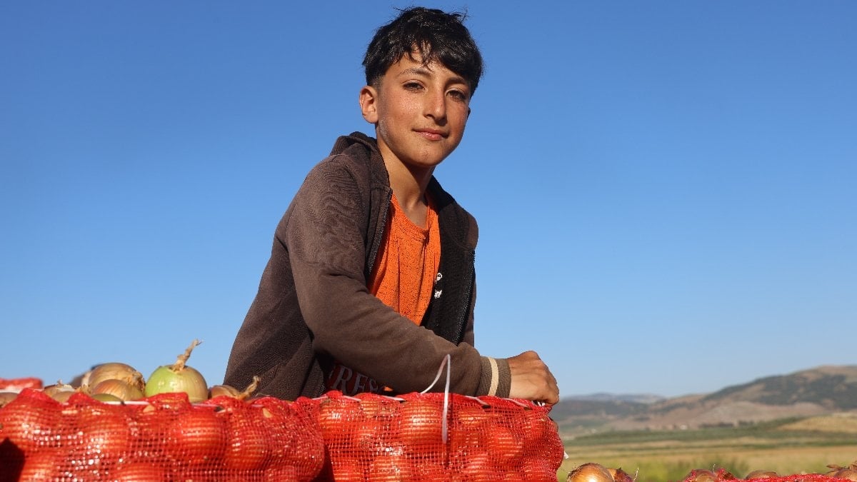 Hatay'da soğanda 30 TL'yi bulan fiyat üreticiyi şad etti