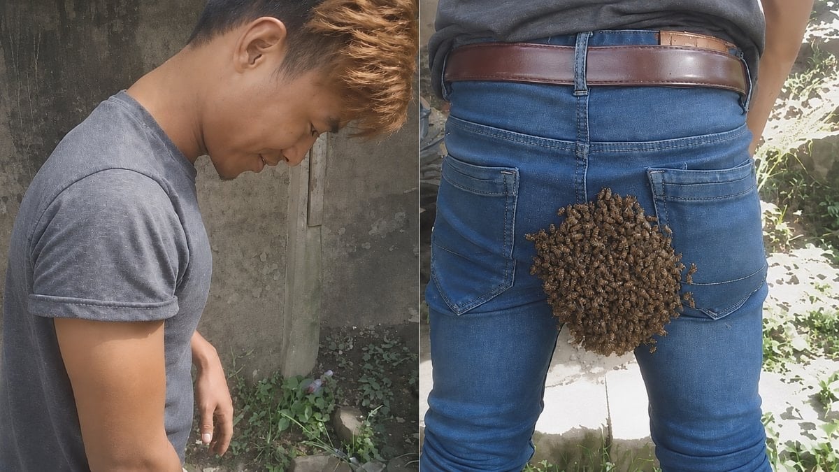 Kraliçe arı pantolonuna kondu ve olanlar oldu: Yüzlercesi toplandı