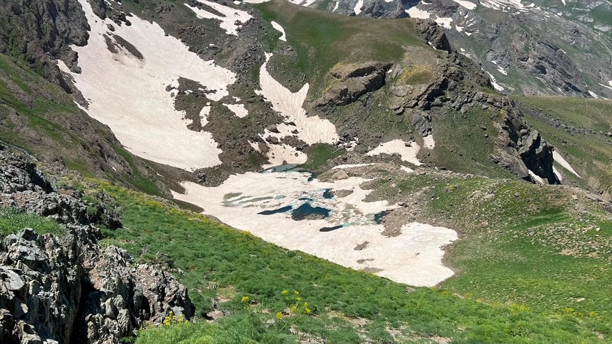 Cilo Dağları'nda kaybolan dağcı için vakitle yarış