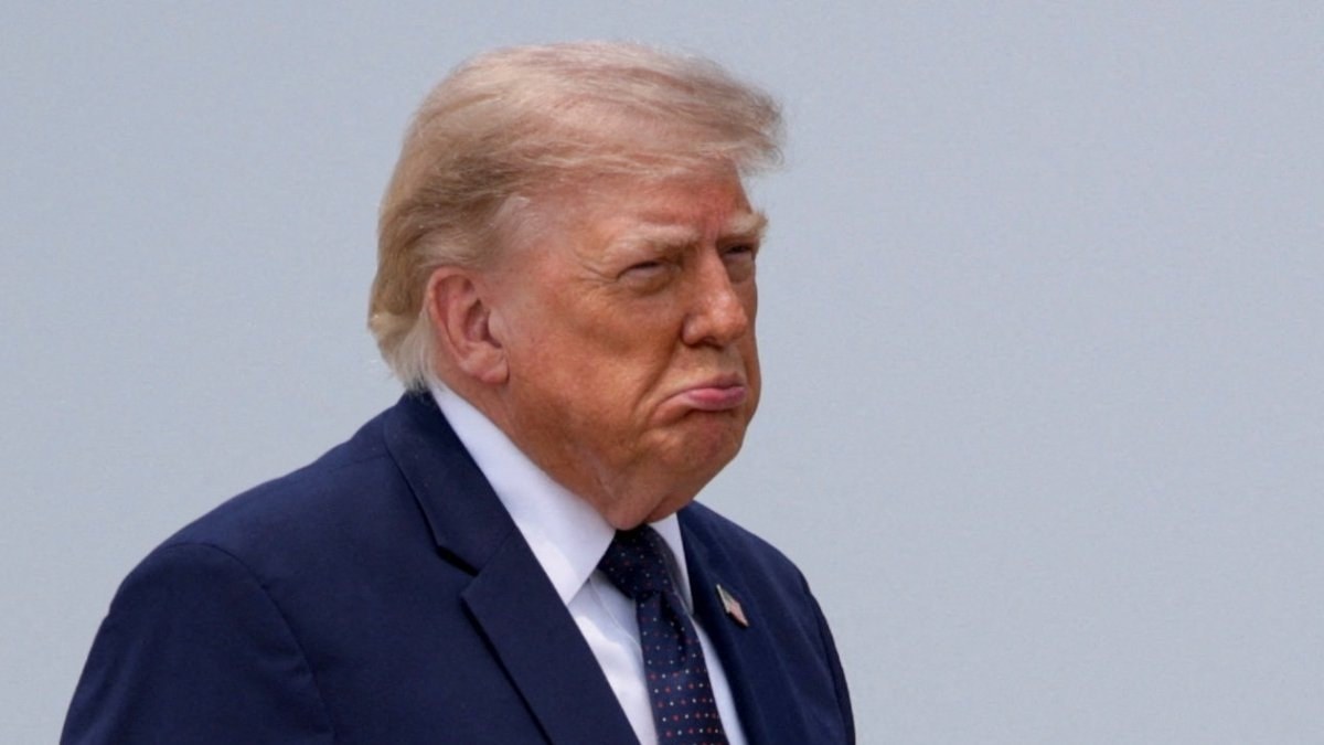 Donald Trump, Kanada'yı yangınlara karşı tedbir almamakla suçladı