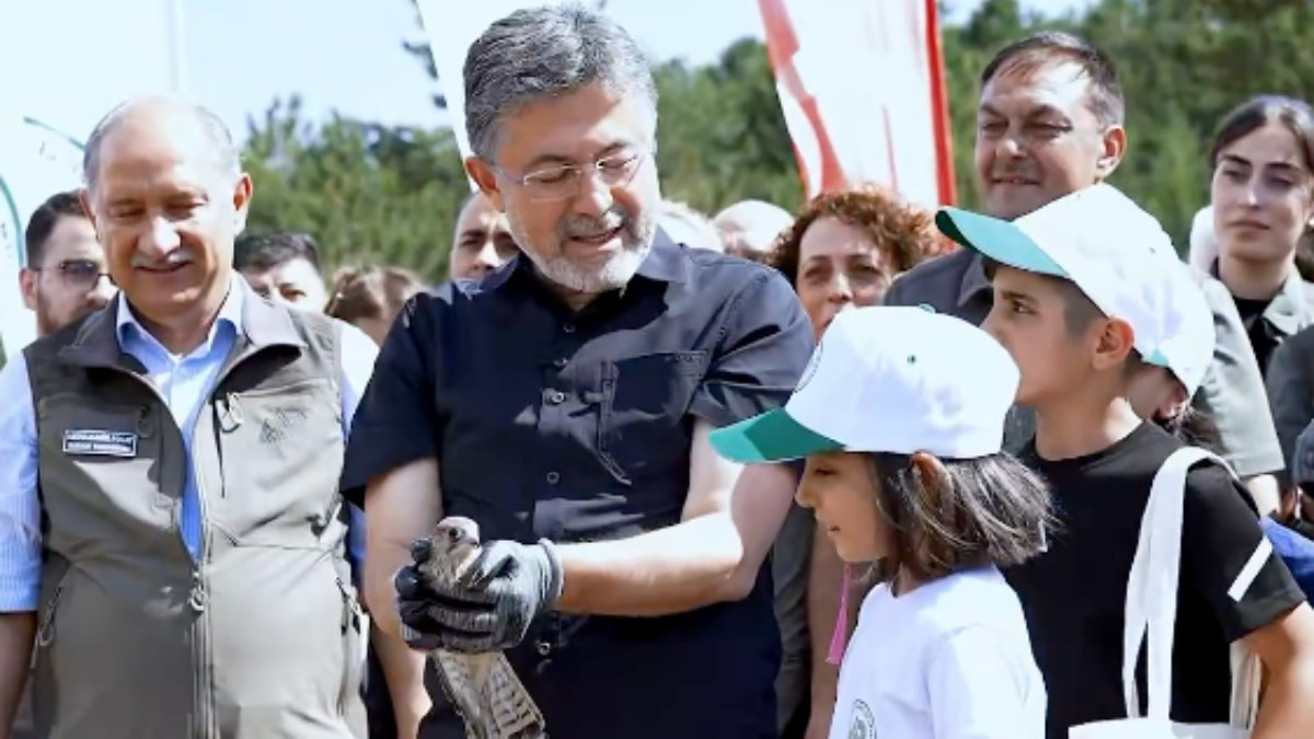 Bu yıl 4 bin 732 hayvan tedavi edilip tabiata salındı