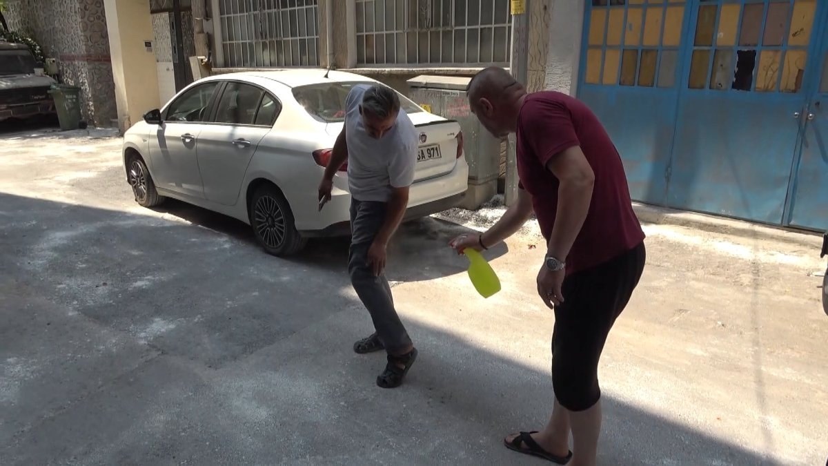 Bursa'da pireler sokağı istila etti