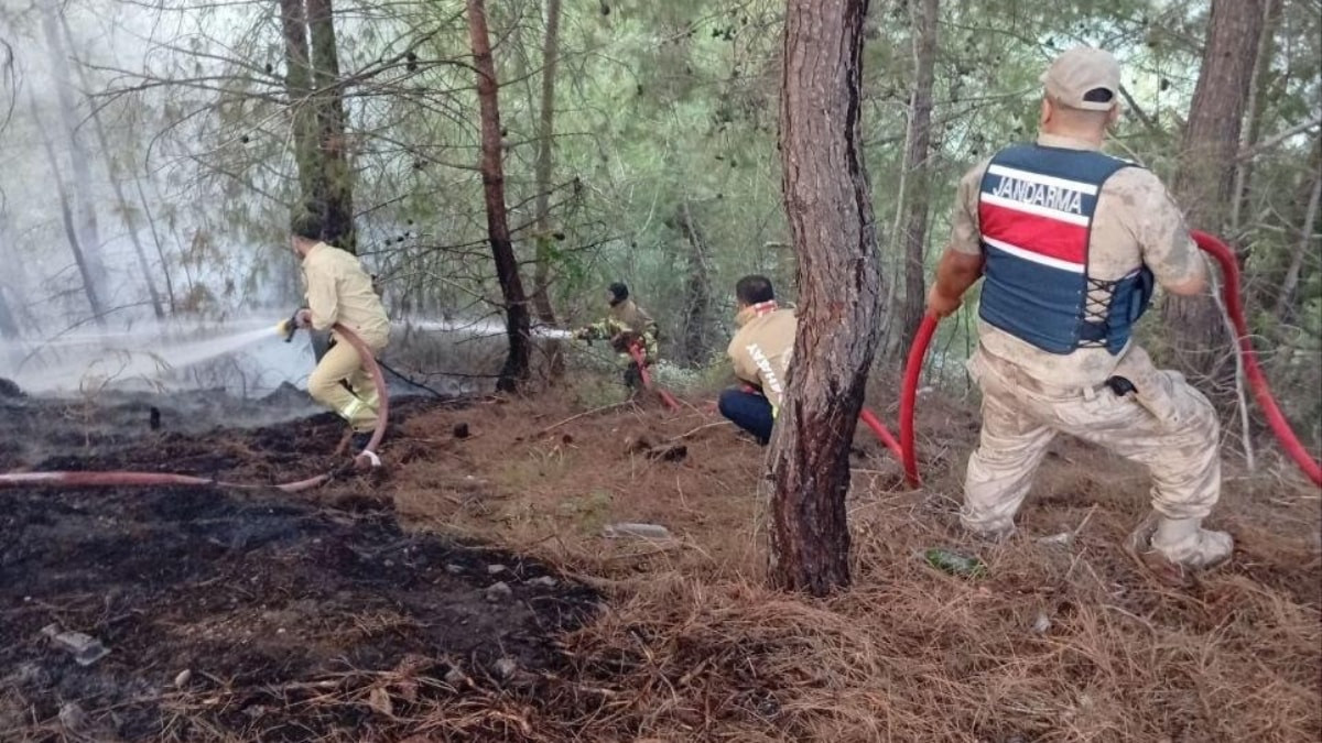Yayladağı’nda orman yangını büyümeden denetim altına alındı