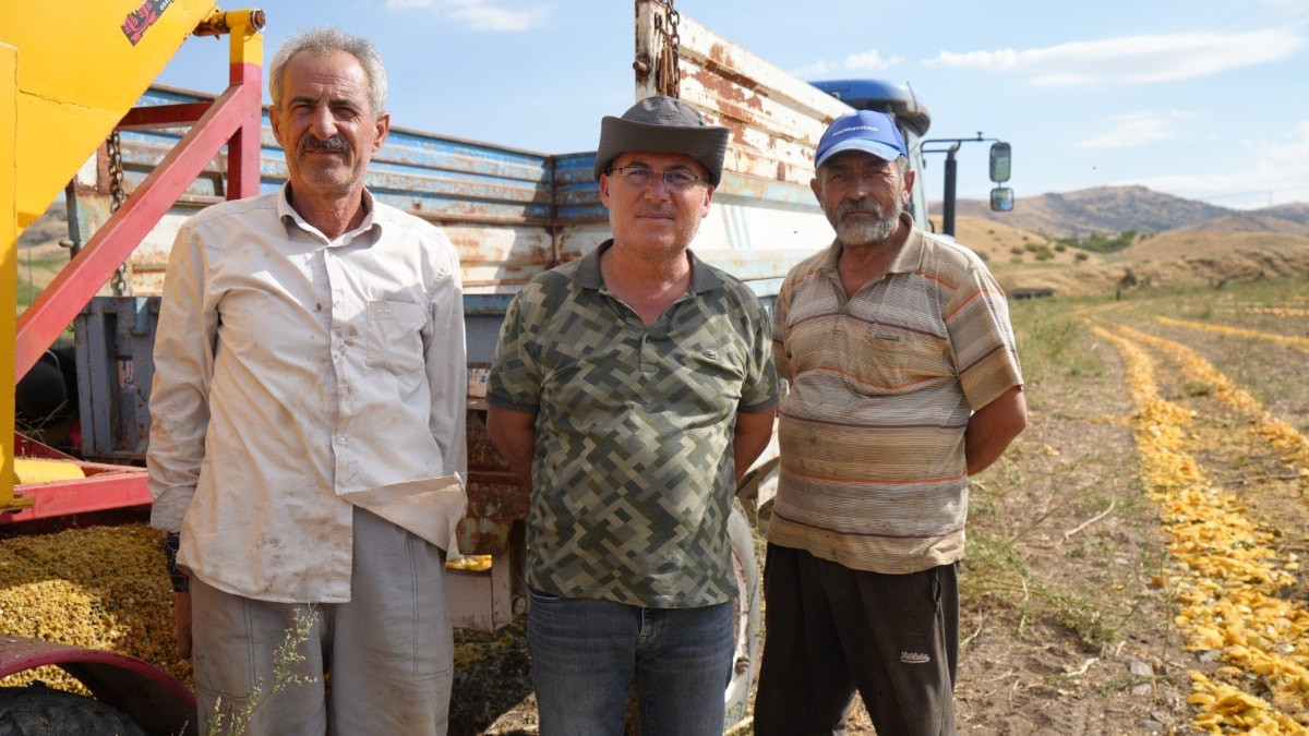 Ankara'da kabak çekirdeği üreticileri hasat devrinde personel bulamıyor