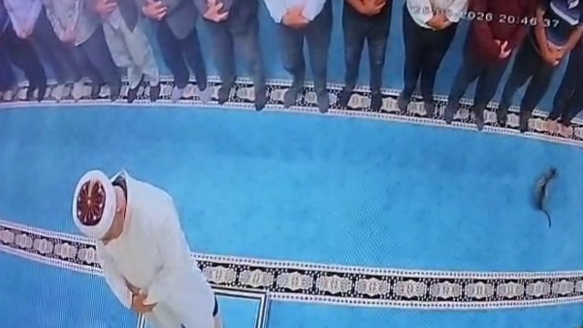 Erzurum'da namaz esnasında gelen kediyi tekmeleyen şahsa reaksiyon yağdı: Gözaltına alındı