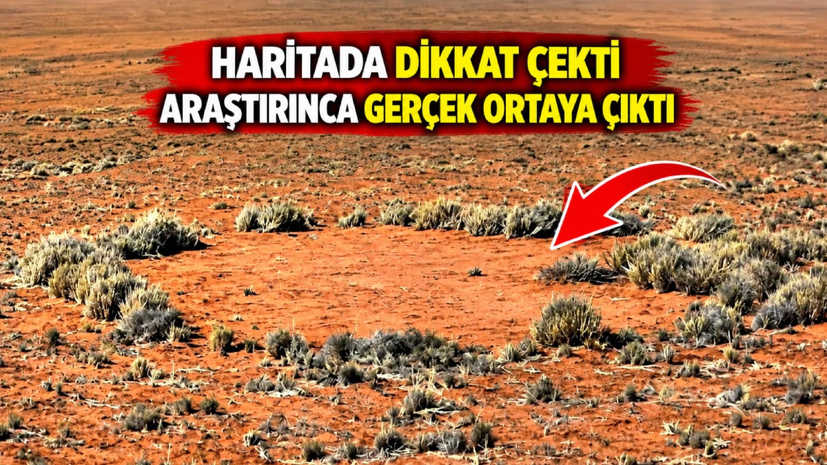 Haritada tesadüfen fark edildi: Yüzeydeki gizemli halkaların nedeni bakın ne çıktı