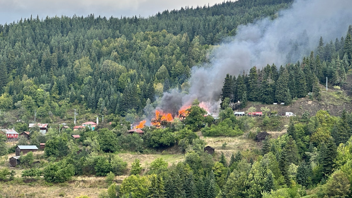 Kastamonu'da köy yangını: Alevler 4 meskene sıçradı