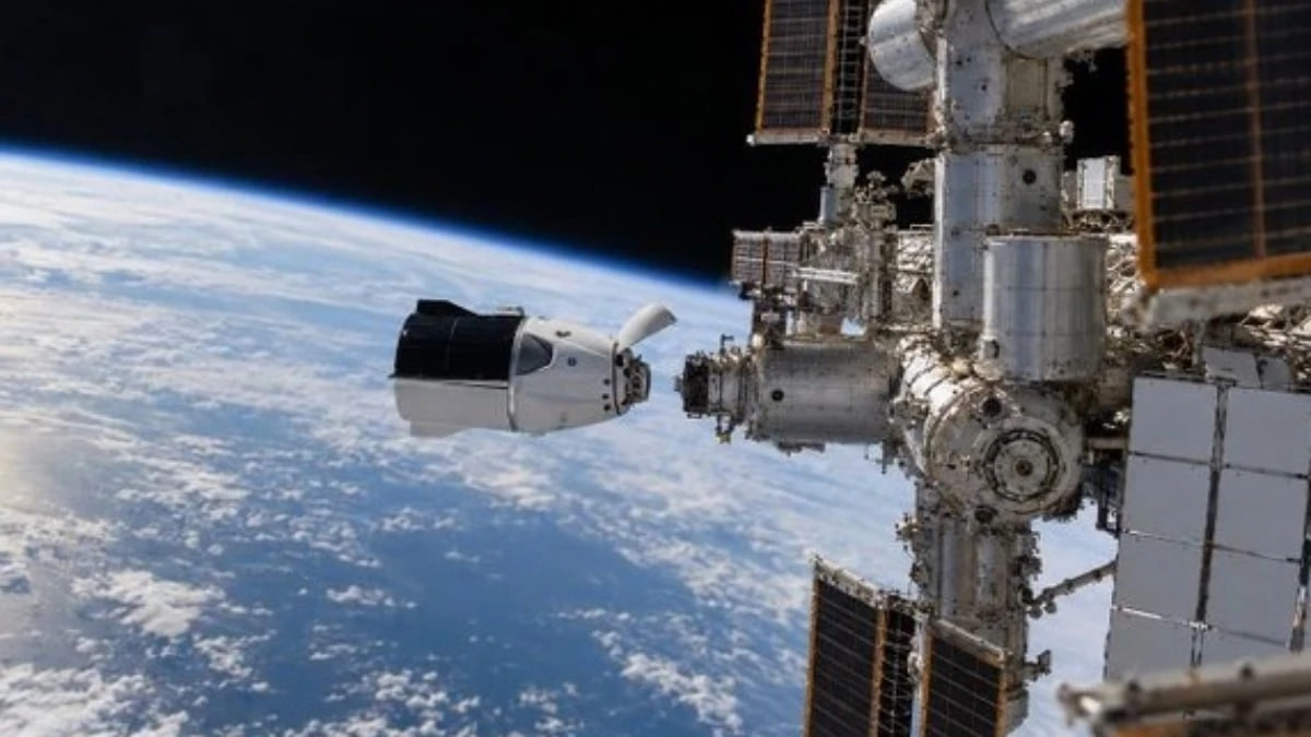 NASA, minyatür insan beyinlerini uzayda inceleyecek