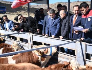 2028'den itibaren kırmızı et ithalatı sona erecek