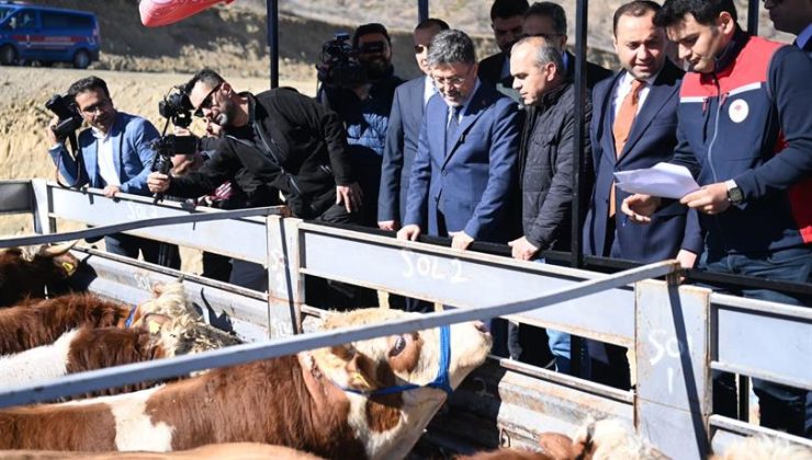 2028'den itibaren kırmızı et ithalatı sona erecek