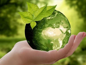 Sıfır Atık hareketi ile 40 milyon hanenin 1 yıllık enerji ihtiyacı karşılandı
