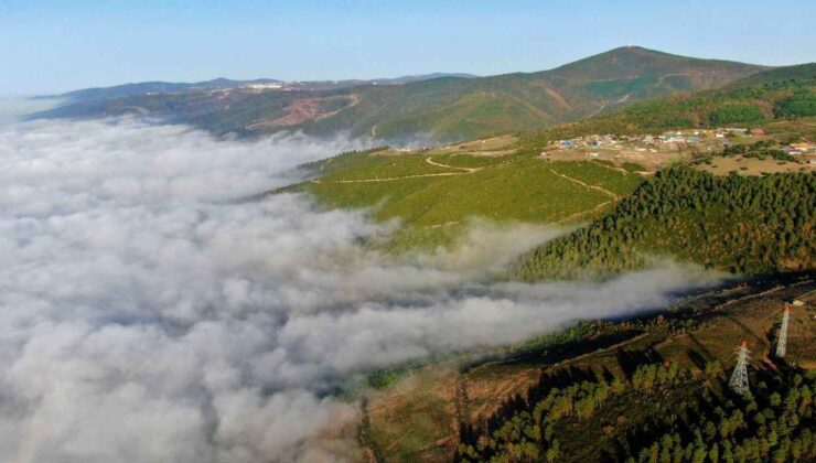 Kocaeli'nin doğu kesiminde sis etkili oldu