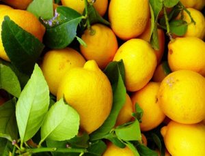 Limon ihracatına geçici durdurma kararı alındı