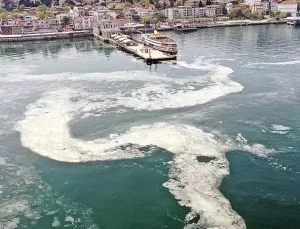 Marmara’daki müsilaj sorunu balıkçılığı etkiledi: Sezon erken kapandı