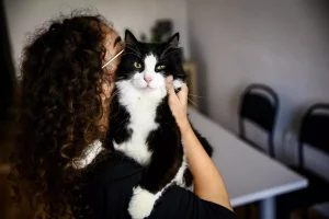 1 dakikalık işlemi yaptırmayan evcil hayvan sahipleri 2 hafta sonra 10 bin TL ödeyecek