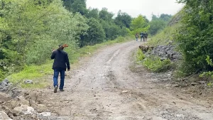 1183 Yaşındaki Porsuk Ağacı Kurtarıldı