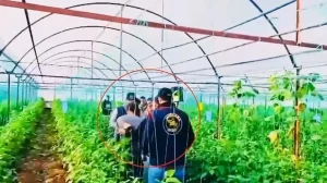 7 Yıl Sonra Yakalandı