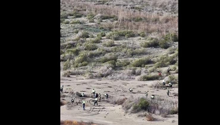 Ağyatan Lagünü’ne 100 bin yeni ağaç: Ekosistem koruma çalışmaları