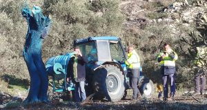 Akbelen’de kestikleri zeytin ağaçlarını maviye boyamaya başladılar