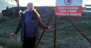 Akbelen’de muhtarın isyanı: ‘Zeytin katliamına yeniden başlandı’