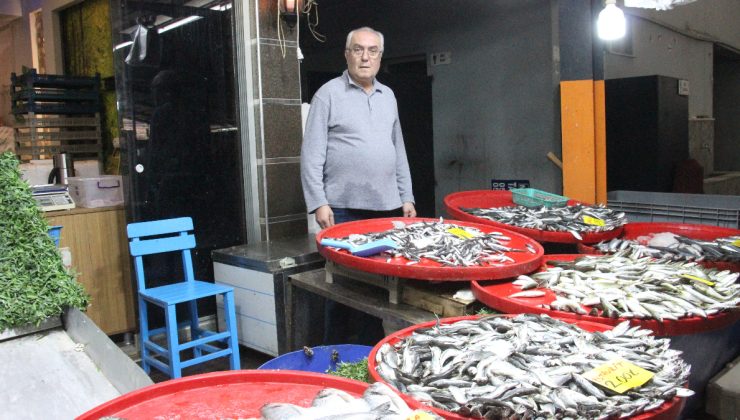Aydın’da balık tezgahlarının en çok tercih edilen çeşidi hamsi oldu