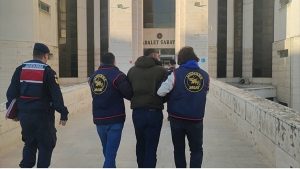 Balıkesir’de zeytin hırsızlığına jandarma baskını: 2 tutuklama