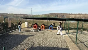 Bartın Üniversitesi’nde Hayvan Doğal Yaşam Alanı Kuruldu