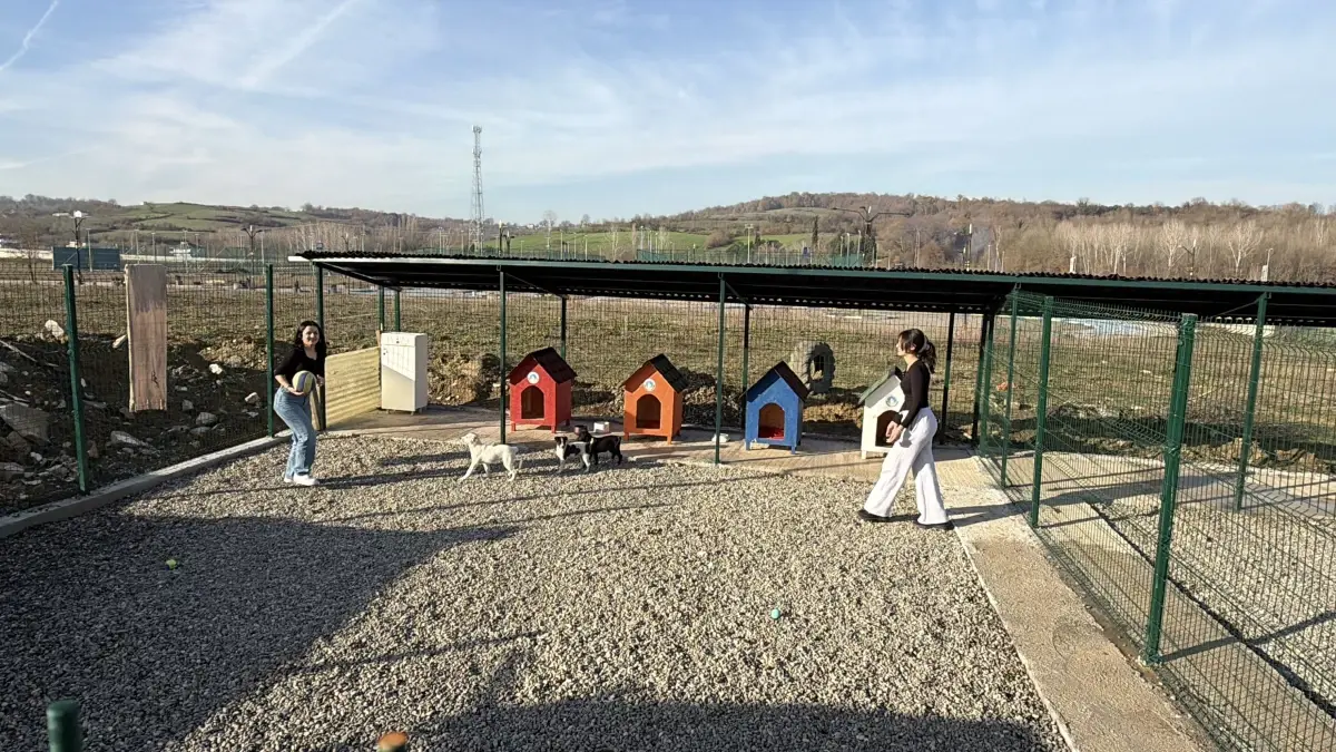 Bartın Üniversitesi’nde Hayvan Doğal Yaşam Alanı Kuruldu
