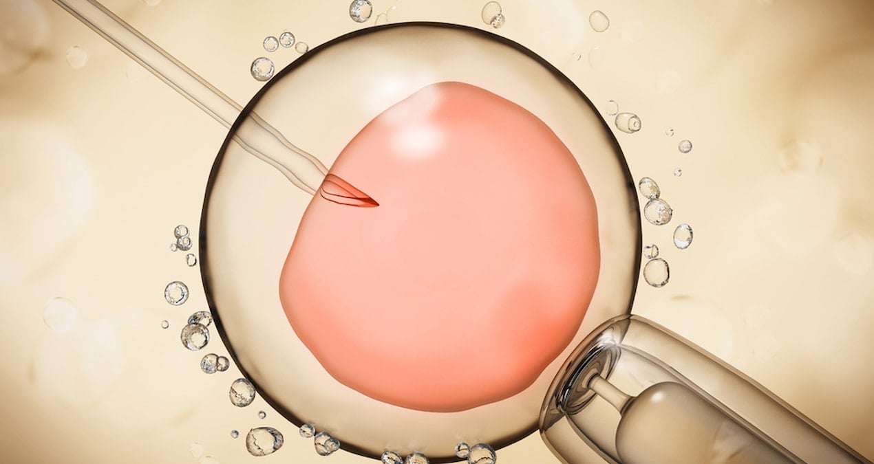 Bilim insanlarından tarihi adım: Tüp bebek tedavisinde çığır açacak