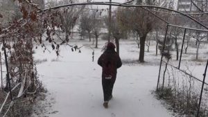 Bitlis’te kar yağışı nedeniyle okullar tatil edildi