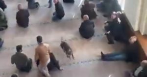 Cuma namazı öncesi camide pitbull paniği