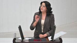 DEM Partili Bartın: Kimse kaçak elektrik kullanımı ile ırkçı manipülasyonlar yapmasın