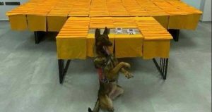 Denizli’de peş peşe uyuşturucu operasyonları: 3 tutuklama