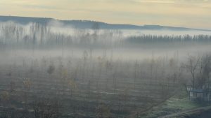 Diyarbakır Dicle Vadisi’nde sis manzarası