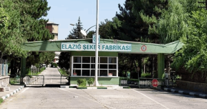 Elazığ Şeker Fabrikasında ‘küspe’ skandalı: Çiftçinin payı üçüncü kişilere satıldı