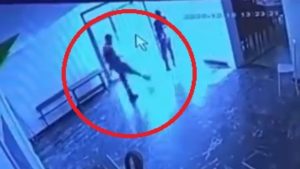 Elazığ’da belediye tesisinden kediye tekmeli saldırı kameraya yansıdı