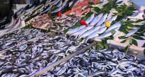 En tehlikeli balık türü açıklandı