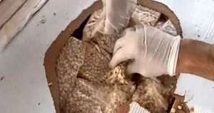 Gümrüklerde rekor; 33 ton 198 kilo uyuşturucu yakalandı