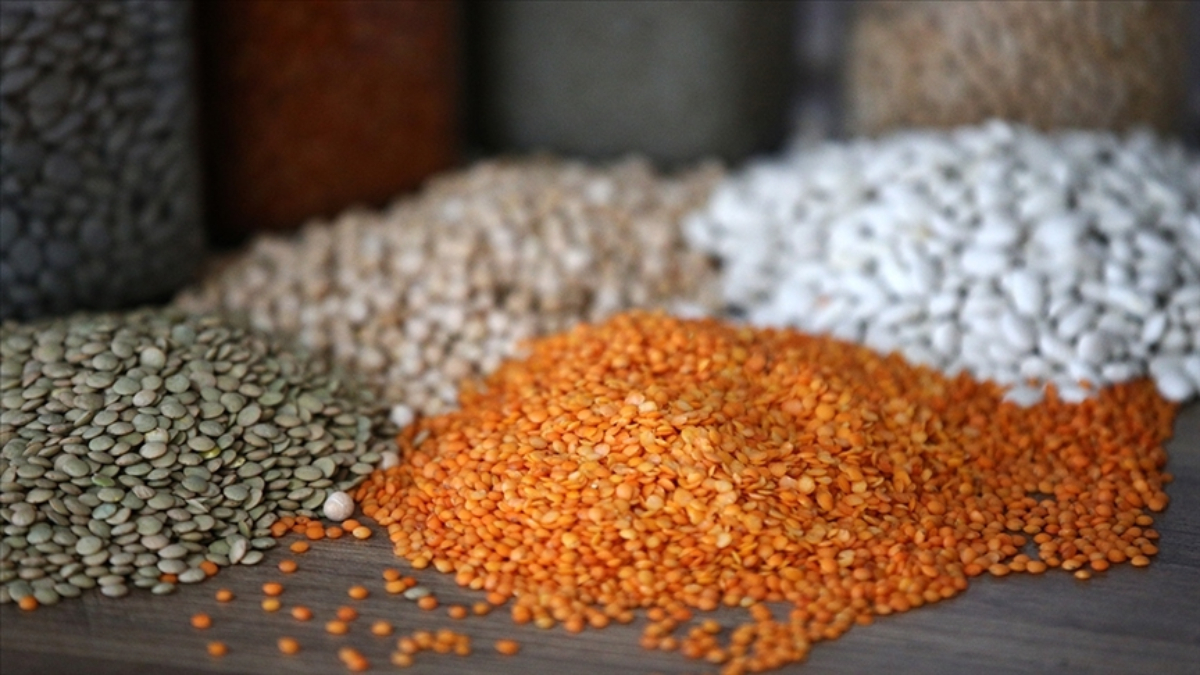 Güneydoğu’dan 3,2 milyar dolarlık hububat ihracatı yapıldı