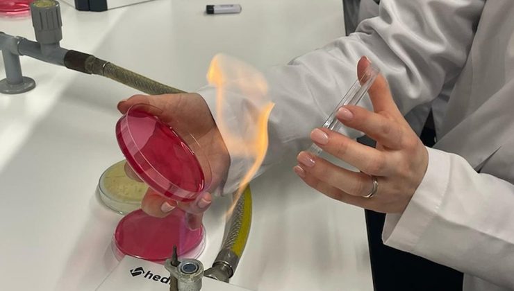 Her evin dolabındaki büyük tehlike: Milyonlarca bakteri barındırıyor