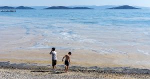 İklim krizinin çocukların boyuna etkisi ortaya çıktı