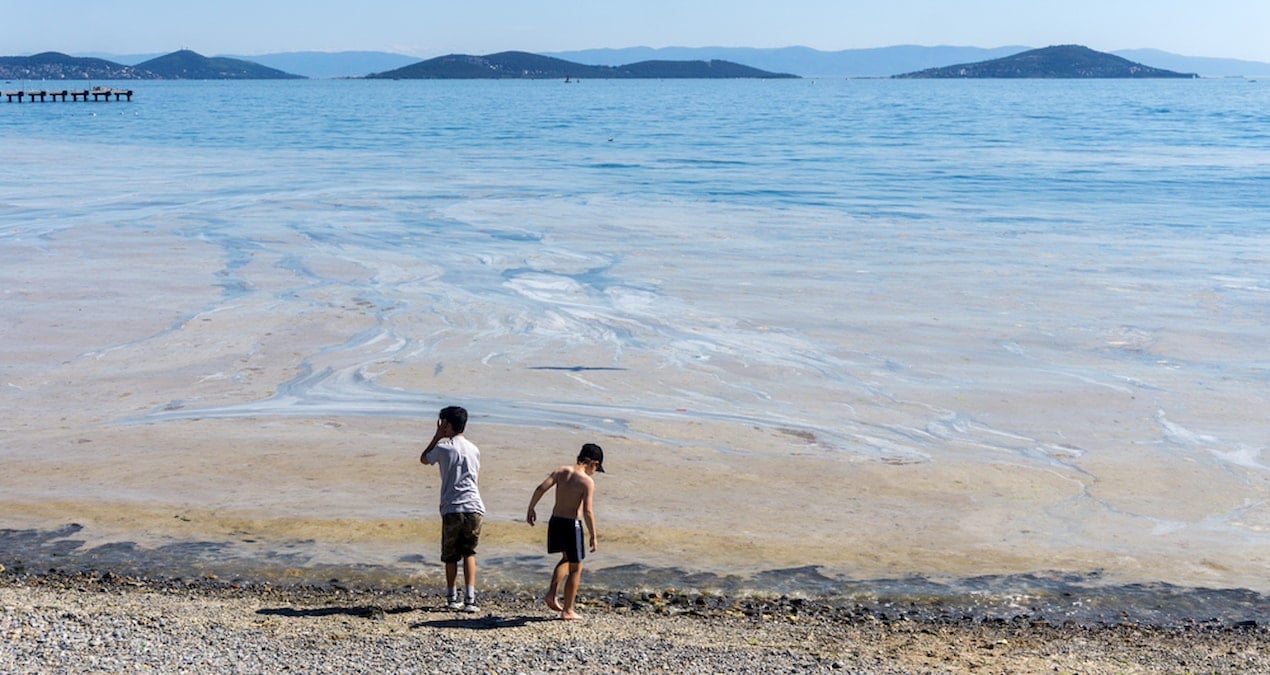 İklim krizinin çocukların boyuna etkisi ortaya çıktı