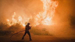 İspanya’da bu yıl 350 bin hektardan fazla ormanlık alan yandı